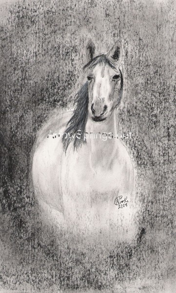 Wild Horse