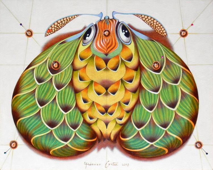 The hop moth