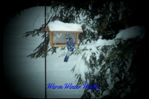 Warm Winter Wishes