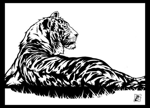 cat1