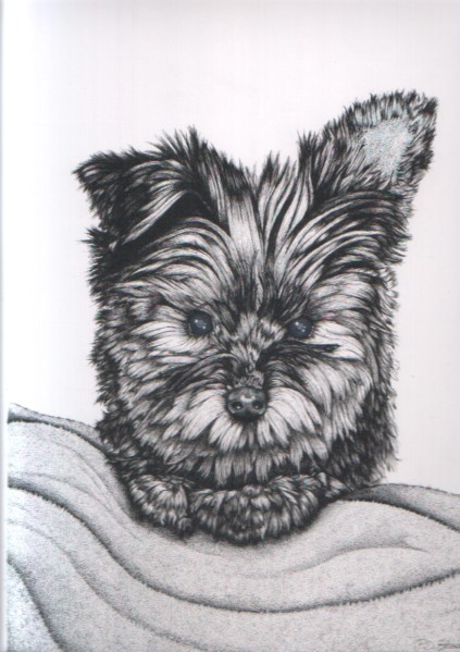 Smartie