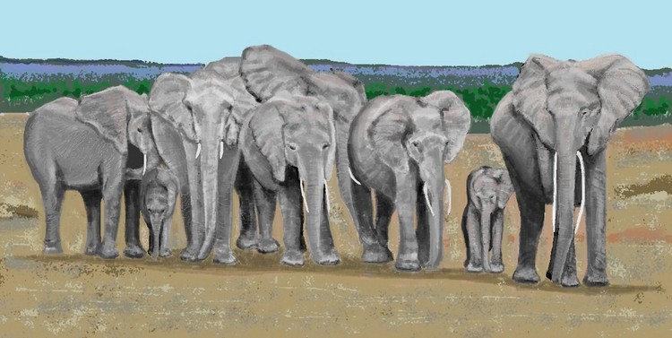 Eight Elephants