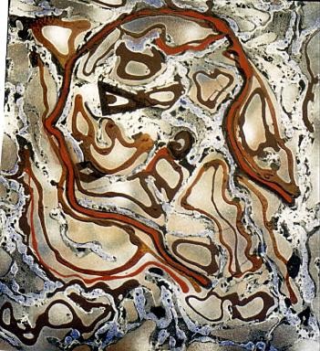 Alien Mind