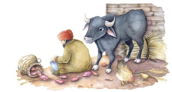 The kind bull