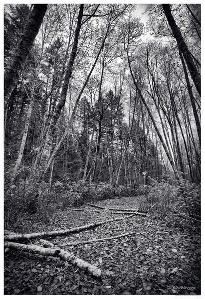 Less Traveled