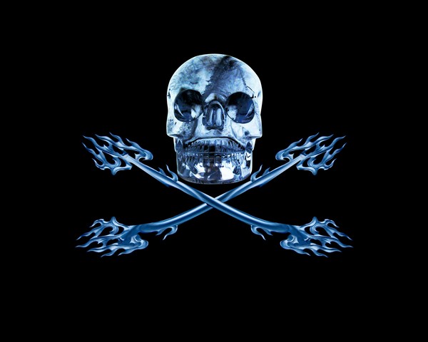 Scull & Bones