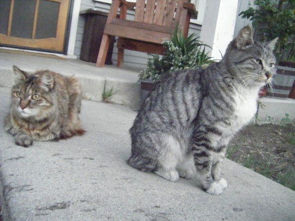 On Guard
