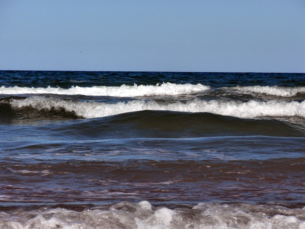 can you hear the ocean?