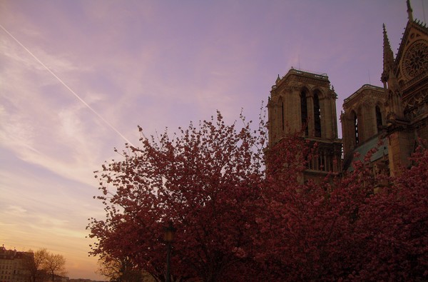 Paris in Twilight