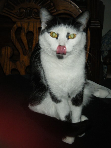 Kit Kat
