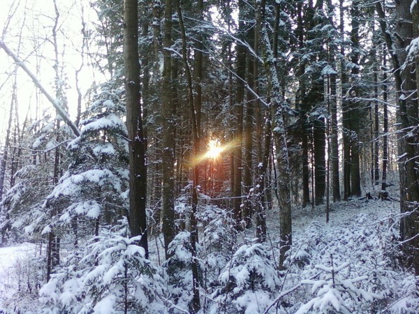 Play with sun