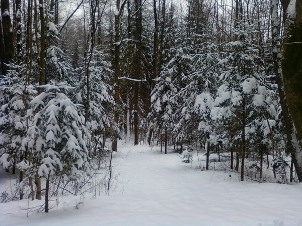 winter photo