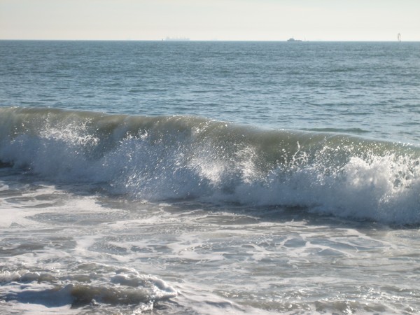 The Wave