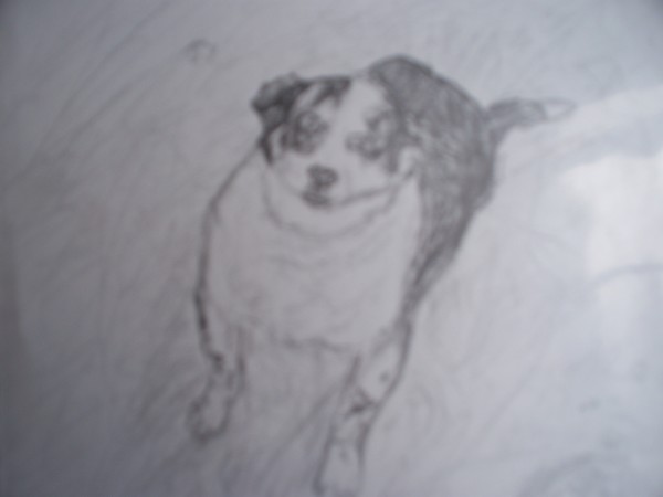 rascal