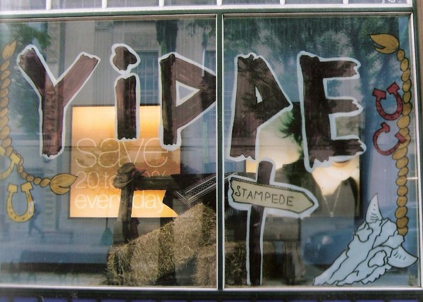 stampede windows