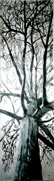 under  a poplar