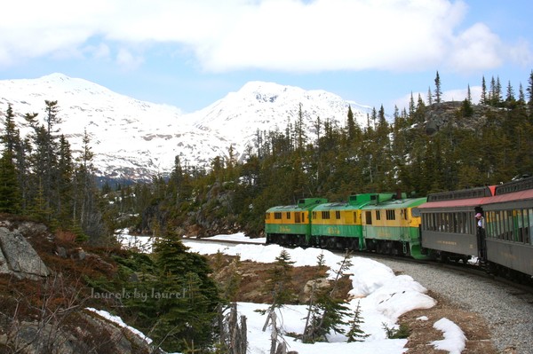 Train in the Alaskan Mountains
