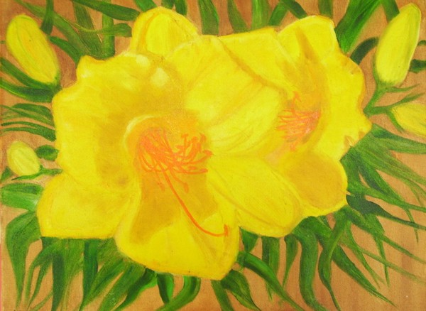 Yellow Day Lily