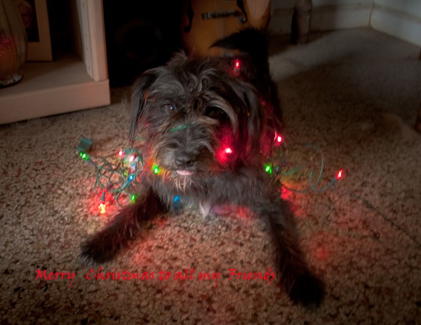 Santas Helper