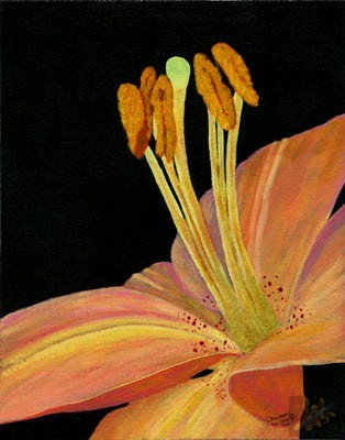 Pink Perfection Lily Print