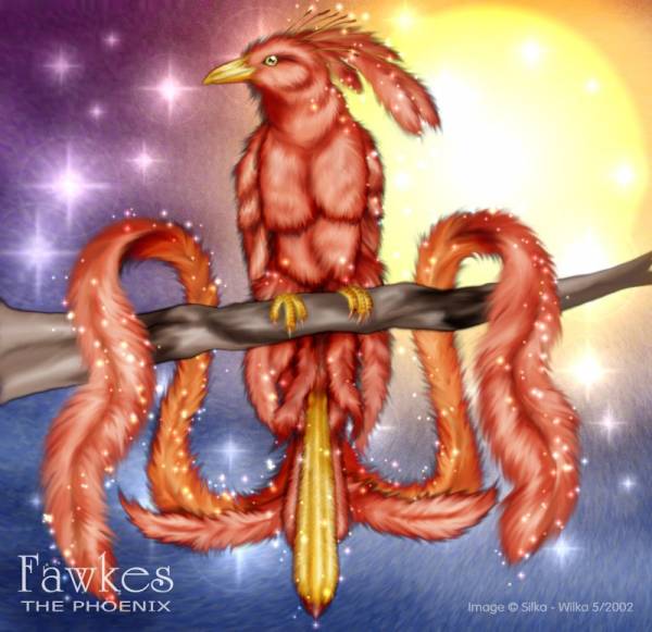 Fawkes the Phoenix