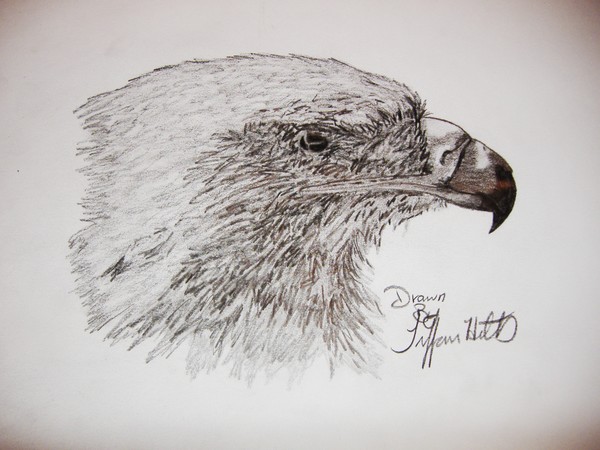 eagle
