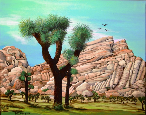 Joshua Tree National Park CA