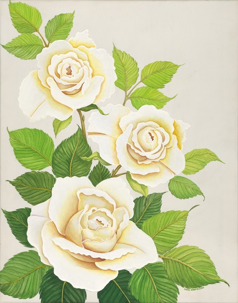 White Roses II