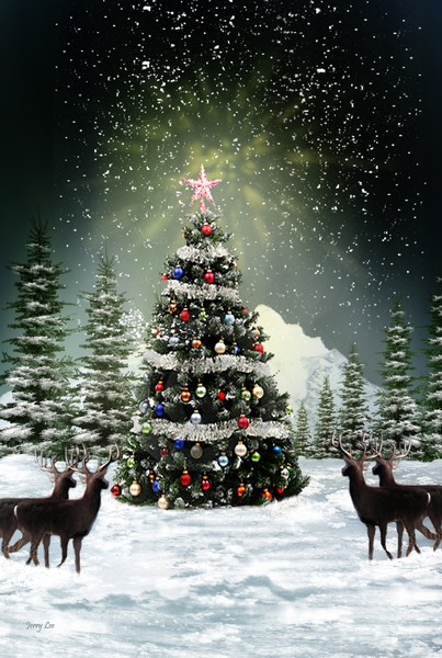 Oh Christmas