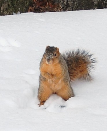 When Is Spring?