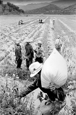  TS B/W photo - image 3 -