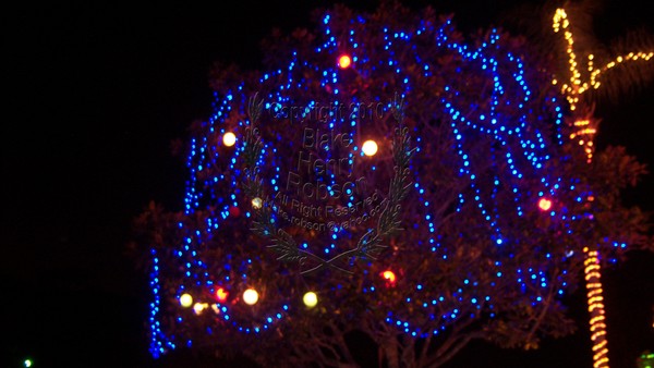 Night Photo Tarragonna Arch Christmas Lights