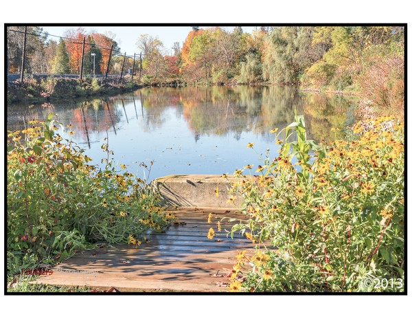 Campbellville Park