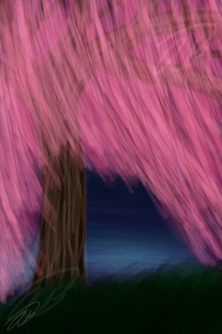 Pink Willow