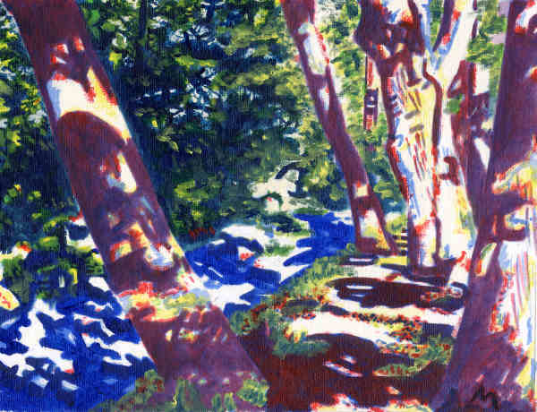Dappled Light on a Welsh Stream