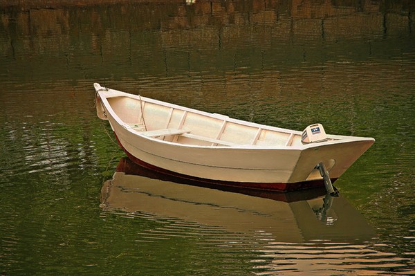 White Dory