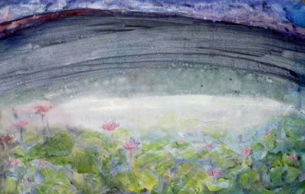 lotus pond