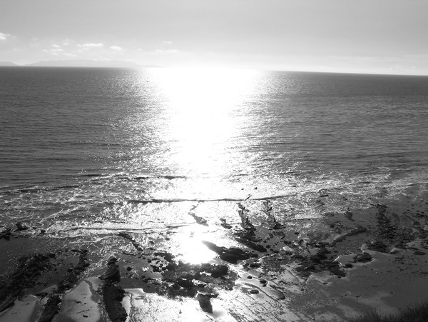 Untitled 24