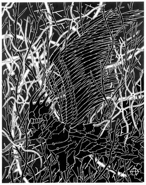 in the garden 3
