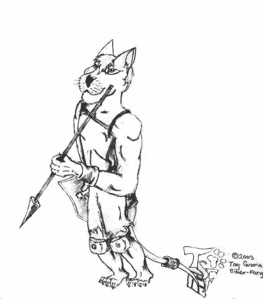 Warriro 