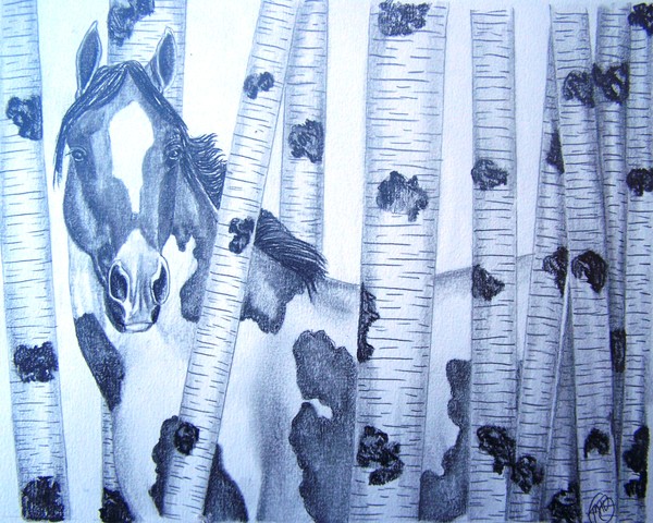 Illusion