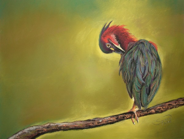 Preening Glow