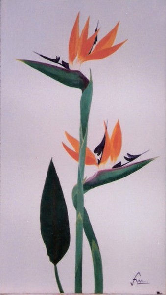 Estrelicia