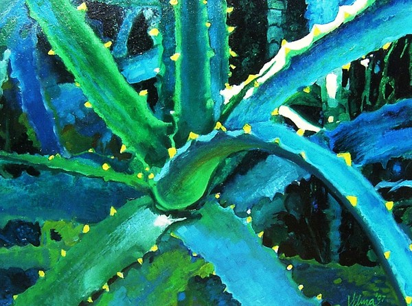 Cactus In The Shade