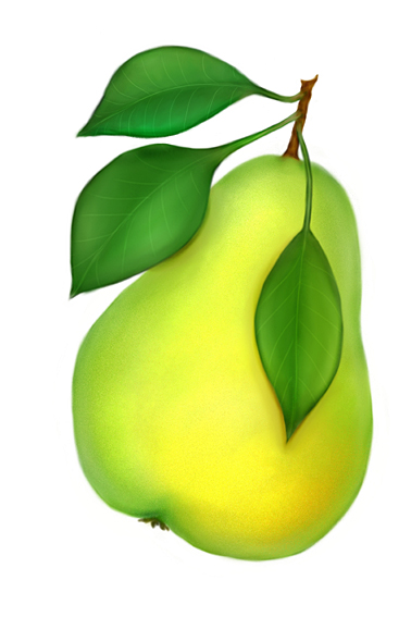 Pear