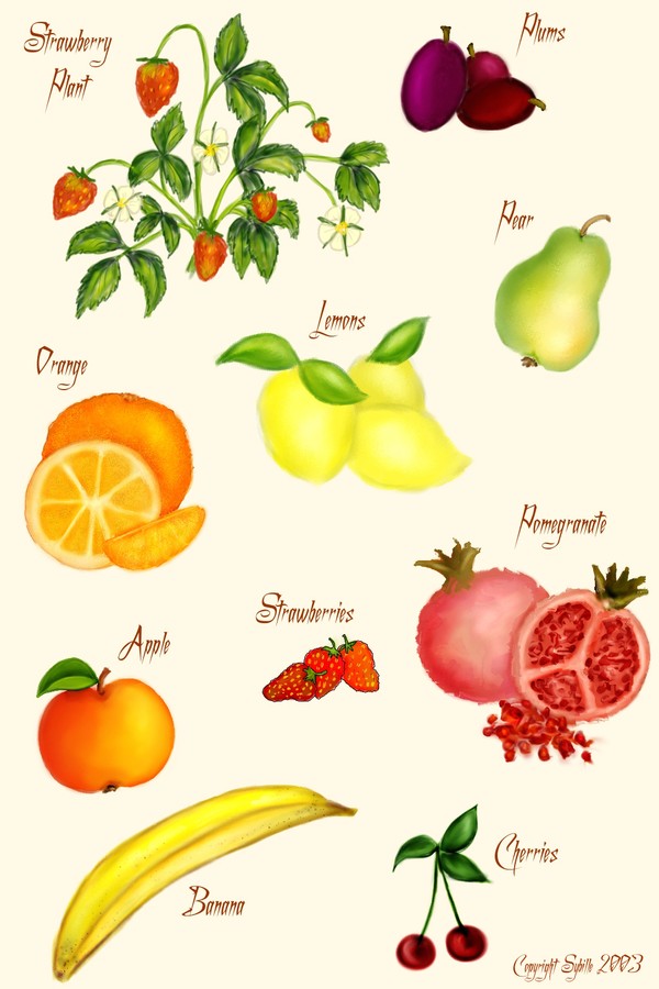 Fruit Designs