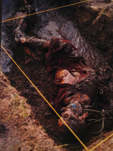 DecomposedBodyThree