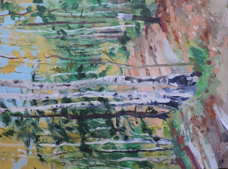 Trail