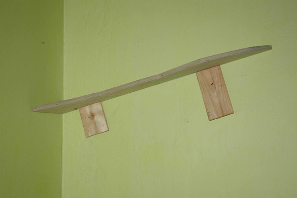 Shelf 1