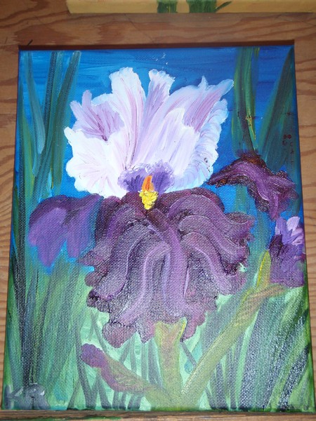 Iris